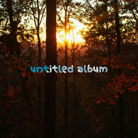 untitled album