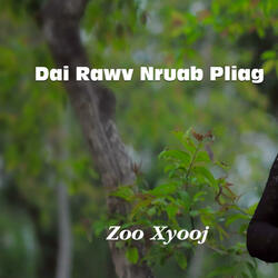 Dais Rawv Nruab Pliag (feat. Zoo Xyooj)