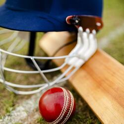 Cricket