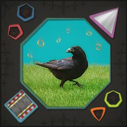 Beak & Feathers