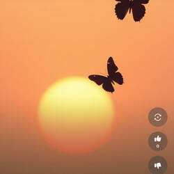 Till the Sun