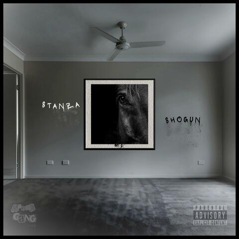 Dark Horse (feat. Shogun)