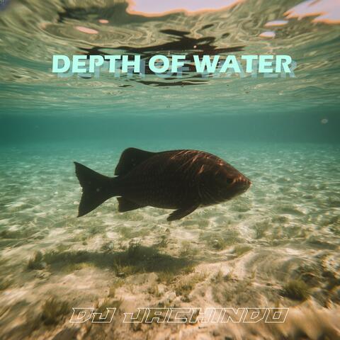 Depth Of Water