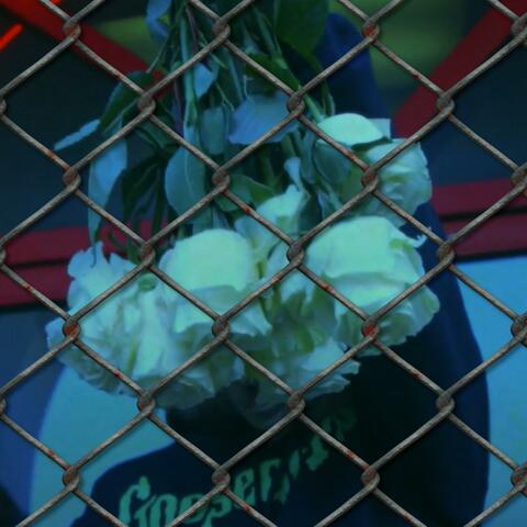 FENCES (feat. HXMESWEETHXME)