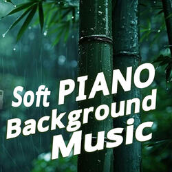 Raining Relaxing Piano Background Music | Newton JR Music