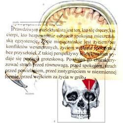 LOBOTOMIA NA NFZ