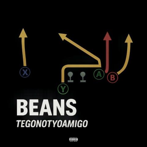 Players Playbook