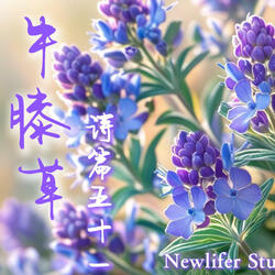 感谢为祭 诗篇50