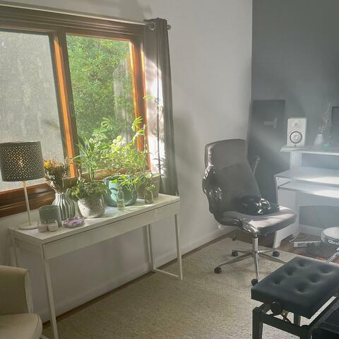 These Vanishing Days