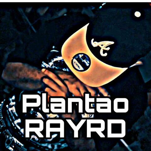 Plantao