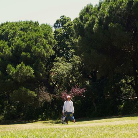 Daydreaming