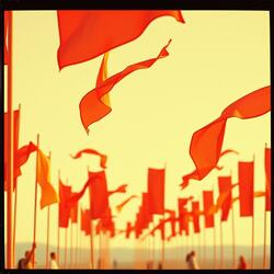 Red Flag Collector