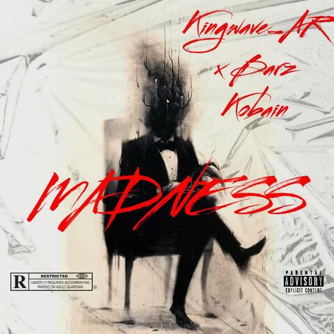 MADNESS (feat. Barz Kobain)