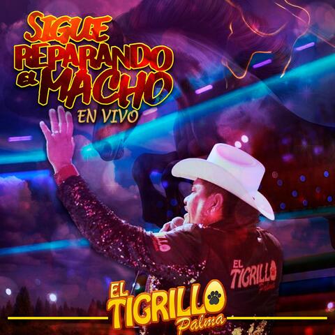 Sigue Reparando El Macho