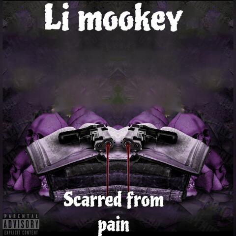 Scarred from pain (Official audio)