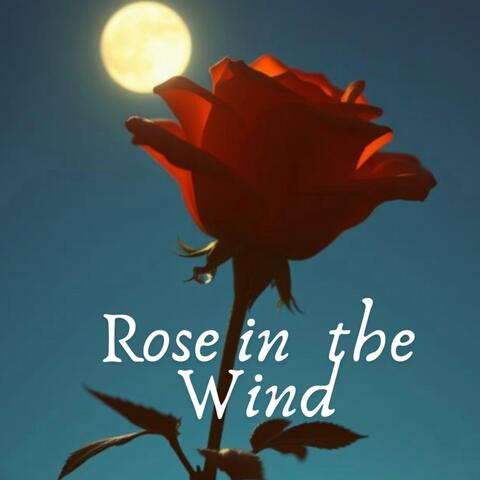 Rose in the Wind