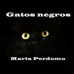 Gatos Negros