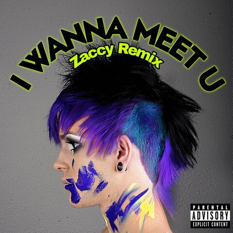 I Wanna Meet U (ZACCY Remix)