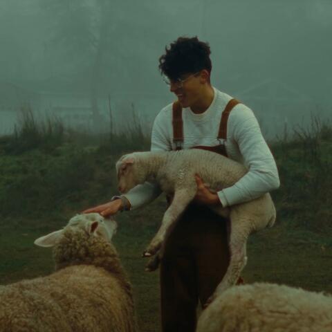 Psalm 23