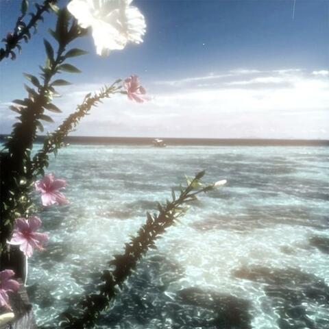island luv