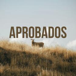 Aprobados