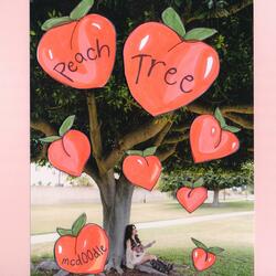 Peach Tree (Instrumental)