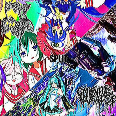 DxCx/CxOx SPLIT