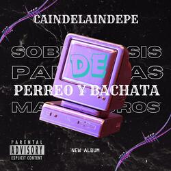 Perreo Y Bachata