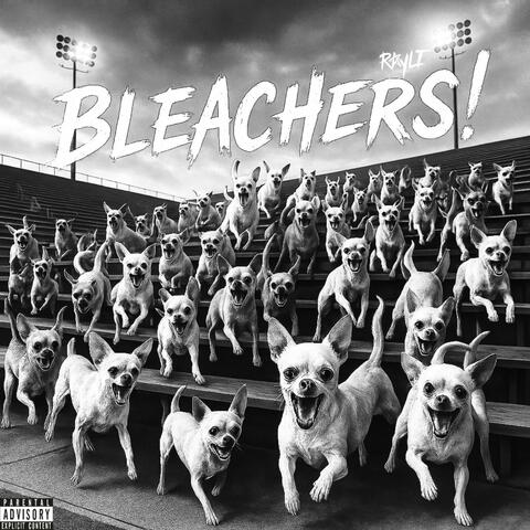 BLEACHERS!