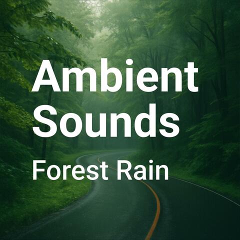 Forest Rain