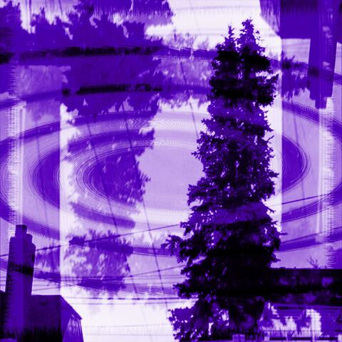 Purpled Visions