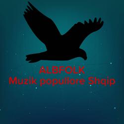 Kolazh me kenge Jugu folk 2023 (O Borzilok, kane dale plakat ne leme)