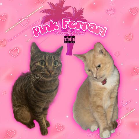Pink Ferrari (feat. Lil Pent)