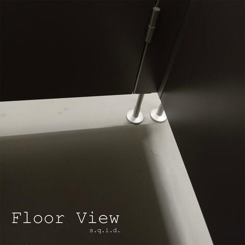 Floor View