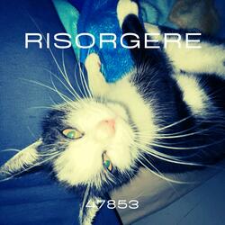 RISORGERE (feat. MEZZ)