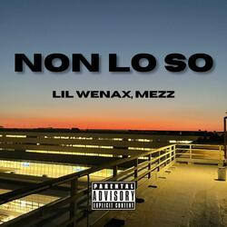 NON LO SO (feat. MEZZ)