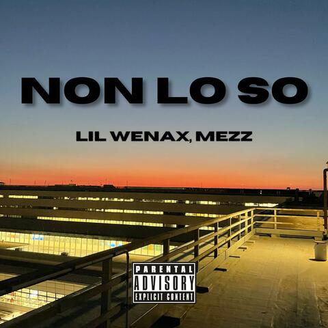 NON LO SO (feat. MEZZ)