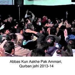 Qurban jafri Abbas Kun Aakhe Pak Ammari | 2013-14 |