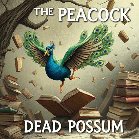 The Peacock