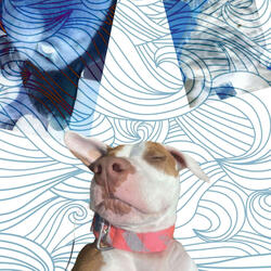 Full Moon (Radio Edit)