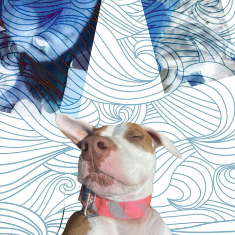 Full Moon (Radio Edit)