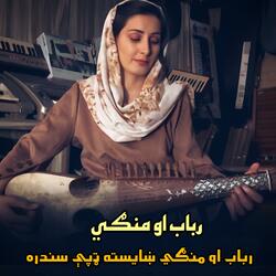رباب او منګي ښایسته ټپې سندره || Rubab ao mangai khayista tapay sandara || رباب