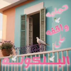 حمامه واقفه على البلكونه بتلعب مع الشمس (روقان)