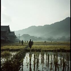 빼앗긴 들에도 봄은 오는가