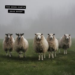 Dead Sheep (The Dire Wolf Returns)