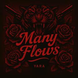 Many Flows