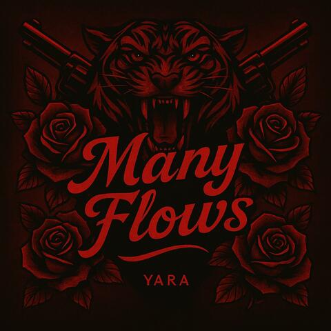 Many Flows