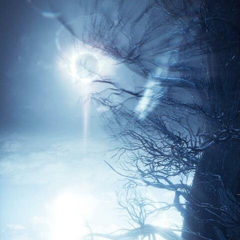 Moonlight Rays