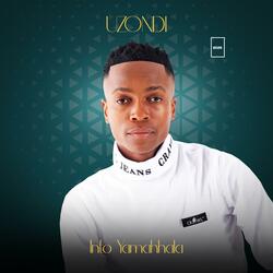 Uthandolwethu (feat. NewFountain)