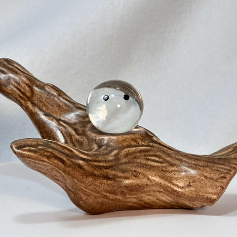 Nobody On a Log